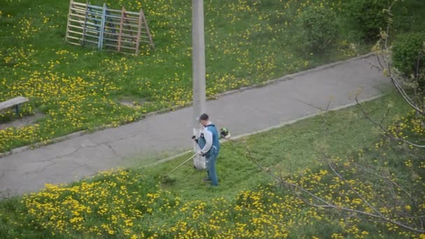 Elderly Man Mows Petrol Trimmer Garden — Stock Video