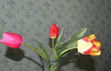 Bir köyün bahçesinde bahar çiçekleri açtı.