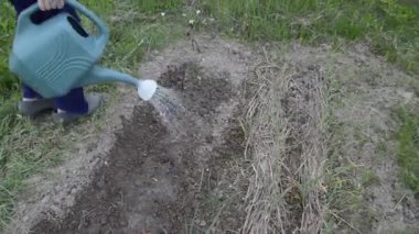 Sebze bahçesini elle sulamak.