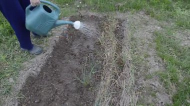 Sebze bahçesini elle sulamak.