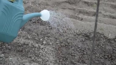 Sebze bahçesini elle sulamak.