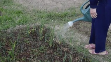 Sebze bahçesini elle sulamak.