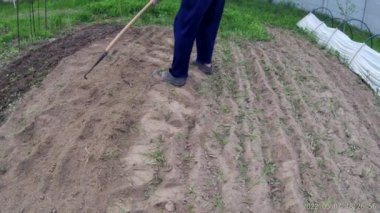 Köydeki bahçe yataklarının elle işlenmesi için helikopter olarak çalışacağım.