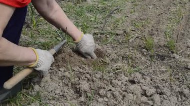 Köydeki bahçe yataklarının elle işlenmesi için helikopter olarak çalışacağım.