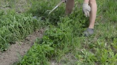 Köydeki bahçe yataklarının elle işlenmesi için helikopter olarak çalışacağım.