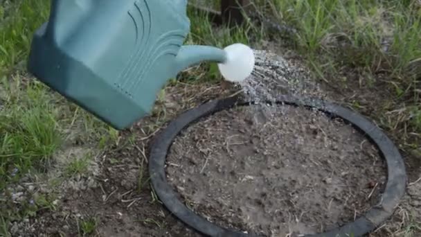 Moestuin Met Hand Besproeien — Stockvideo