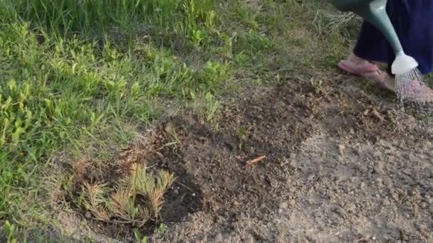 Watering Vegetable Garden Hand — Stockvideo