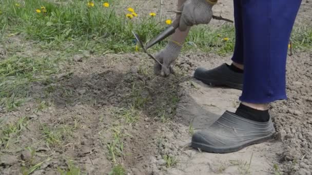 Робота Подрібнювач Ручної Обробки Садових Клумб Селі — стокове відео
