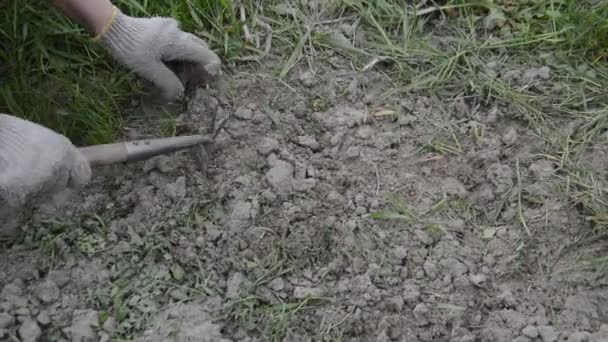 Arbeit Als Häcksler Für Die Manuelle Bearbeitung Von Gartenbeeten Dorf — Stockvideo