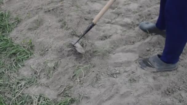 作为切割机 手工处理村里的花园床 — 图库视频影像