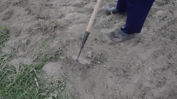 Work Chopper Manual Processing Garden Beds Village — Stok Video