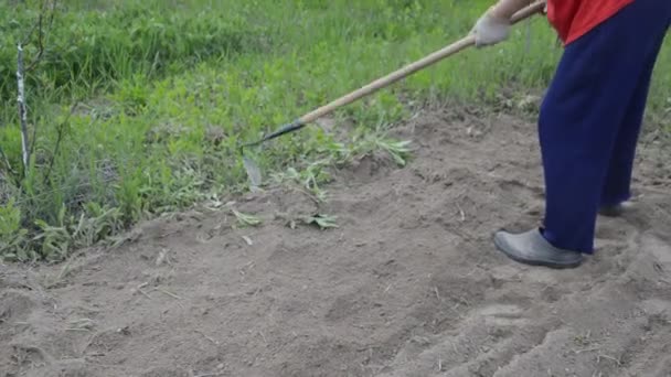 作为切割机 手工处理村里的花园床 — 图库视频影像