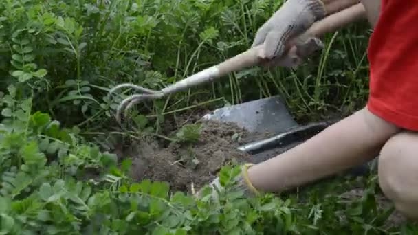 Work Chopper Manual Processing Garden Beds Village — Stock videók