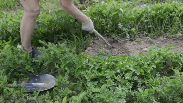 Робота Подрібнювач Ручної Обробки Садових Клумб Селі — стокове відео