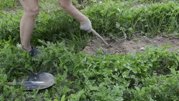 Werkzaamheden Als Heli Voor Het Manueel Bewerken Van Tuinstoelen Het — Stockvideo