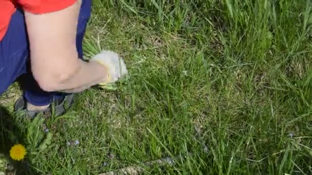 Woman Cuts Grass Plot Village — Video