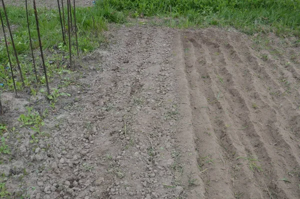 Prepared Garden Beds Planting Vegetables Village —  Fotos de Stock