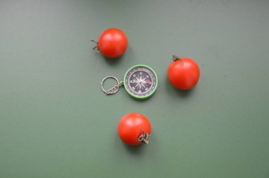 Bir nesnenin arka planında seyahat için el pusulası