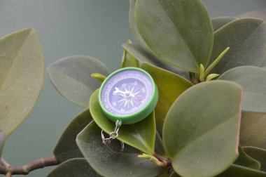 Bir nesnenin arka planında seyahat için el pusulası