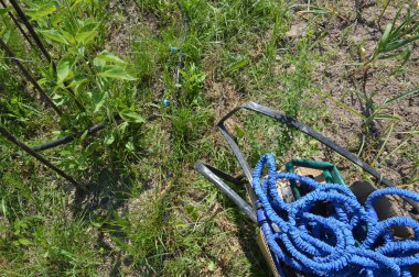 Bir bahçe sulama sistemi için damlatma sistemi