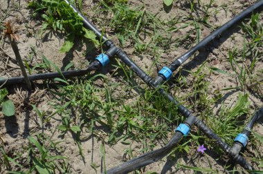 Bir bahçe sulama sistemi için damlatma sistemi