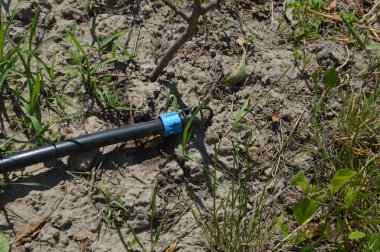 Bir bahçe sulama sistemi için damlatma sistemi