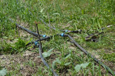Bir bahçe sulama sistemi için damlatma sistemi