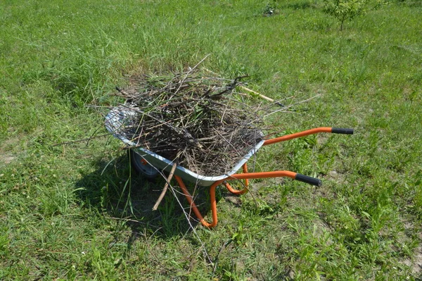 庭の建設トロリー上の乾燥した枝をきれいにする — ストック写真
