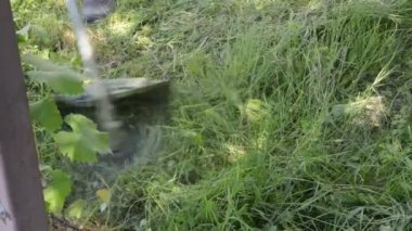 Bahçedeki çimleri biçen bir kadın el budayıcı ile