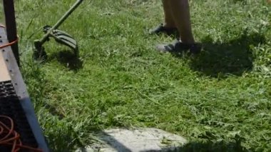 Bahçedeki çimleri biçen bir kadın el budayıcı ile