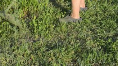 Bahçedeki çimleri biçen bir kadın el budayıcı ile