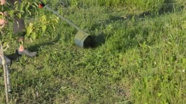 Bahçedeki çimleri biçen bir kadın el budayıcı ile