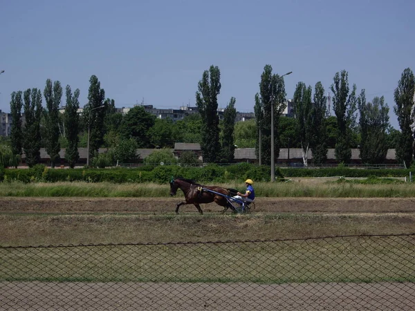 Kiev Ukraine 2022年6月19日 ヒッポドロームとフランスのトロッター馬の最初のレースで夏のシーズンの開幕 — ストック写真