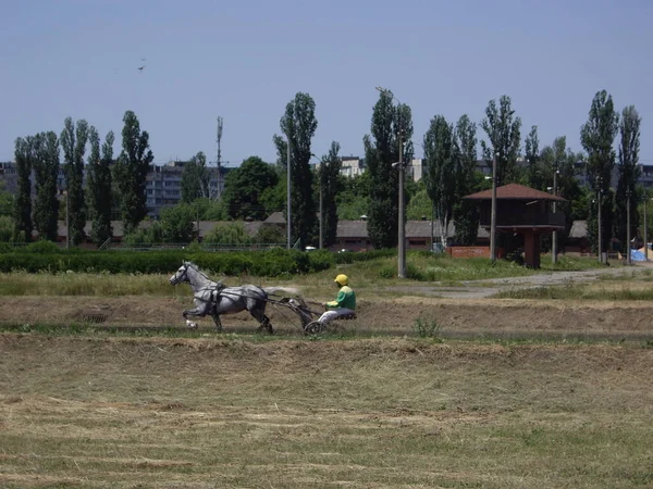 Kiev Ukrajina Června 2022 Zahájení Letní Sezóny Hippodromu První Závody — Stock fotografie