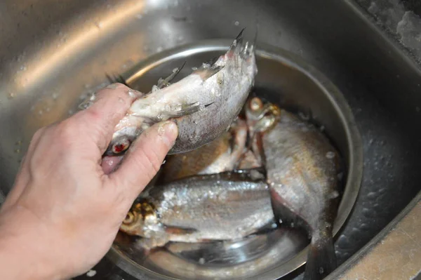 Pulizia Del Pesce Fiume Dopo Pesca Dalle Squame — Foto Stock