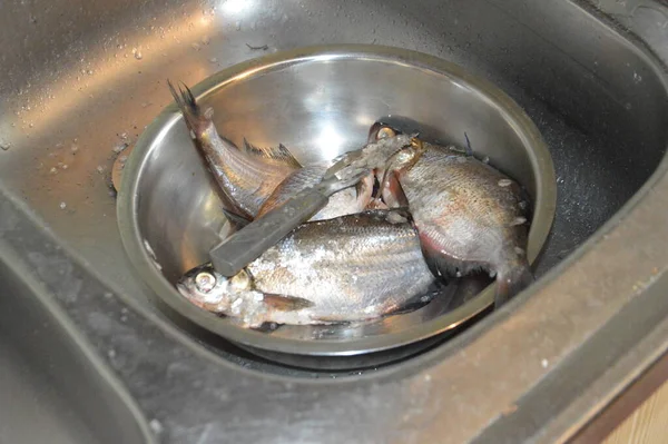 Limpeza Peixes Rio Após Pesca Partir Das Escamas — Fotografia de Stock