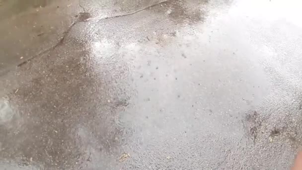 Heavy Downpour Drops Water Drip Wet Asphalt — Video