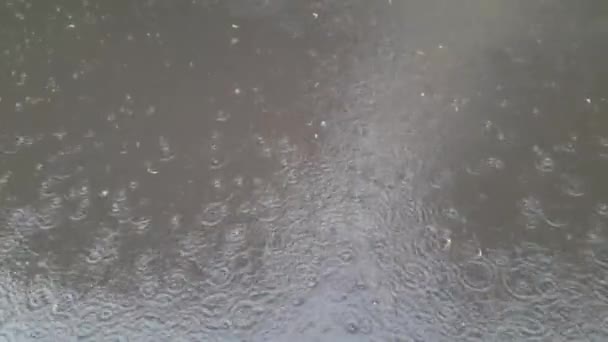 Aguaceiro Pesado Gotas Água Pingando Asfalto Molhado — Vídeo de Stock