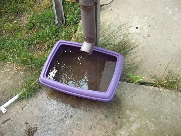 Drinkbak Voor Dieren Uit Regenwater Verzameld Van Het Dak — Stockfoto