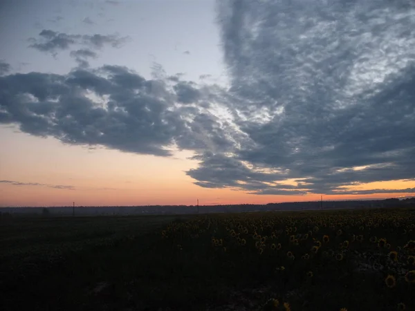 Morning dawn in the sky and a field in a the village