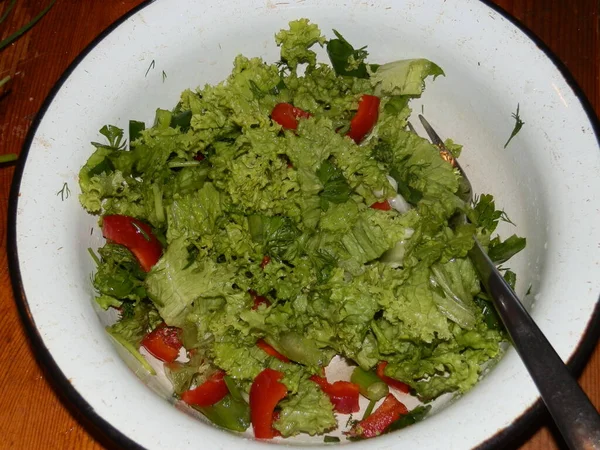 Green Salad Leaves Vegetarians — Stock Photo, Image