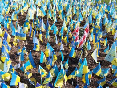 KIEV, UKRAINE - AUGUST 23, 2022: Field of small the flags