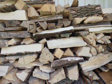 Fresh firewood chopped from the  large