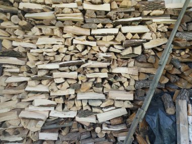 Fresh firewood chopped from the  large