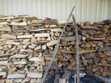 Fresh firewood chopped from the  large