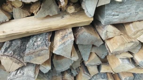 Fresh Firewood Chopped Large — Stockvideo
