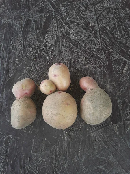 Batatas Bizarras Diferentes Jardim — Fotografia de Stock