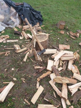 Kış için odun topluyorum.