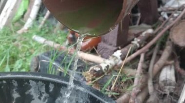 Yağmur suyu bir kovaya damlıyor.