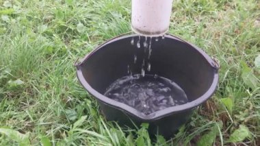 Yağmur suyu bir kovaya damlıyor.